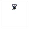 Full Color Transfer X-Large Back Area Thumbnail